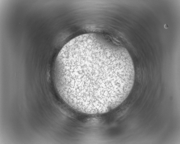 X0000065970259200603241921