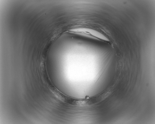 X0000065970265200603241921