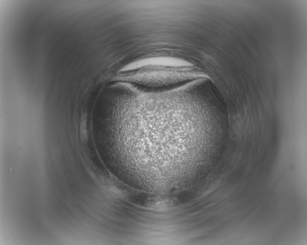 X0000065970267200603241921