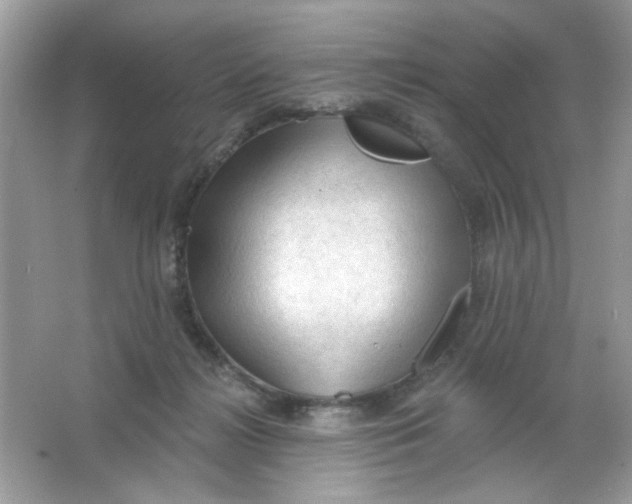 X0000065970268200603241921