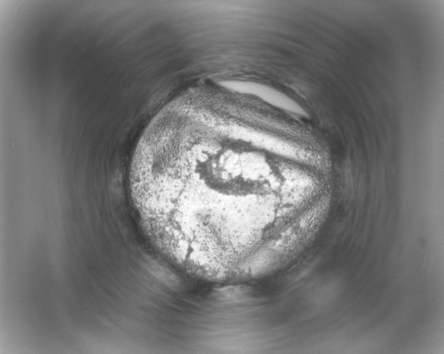 X0000065970269200603241921