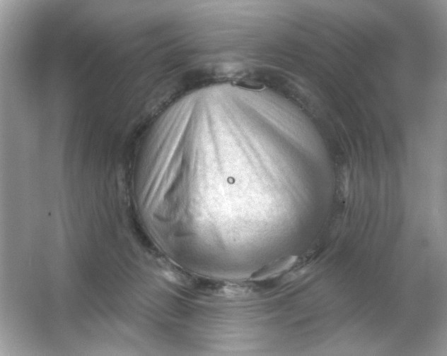 X0000065970270200603241921