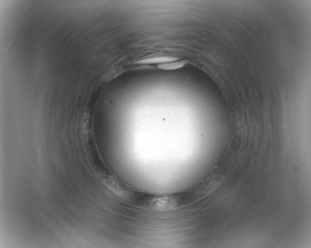 X0000065970275200603241921