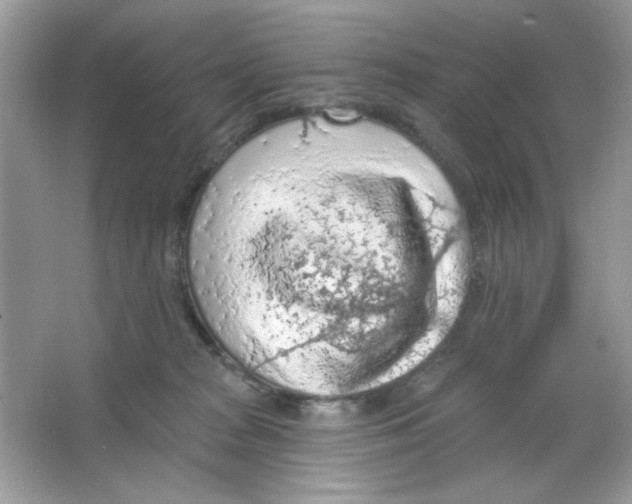 X0000065970277200603241921