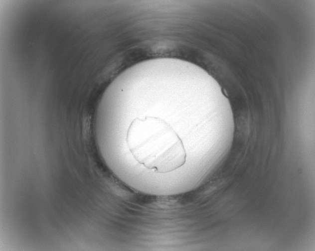 X0000065970278200603241921