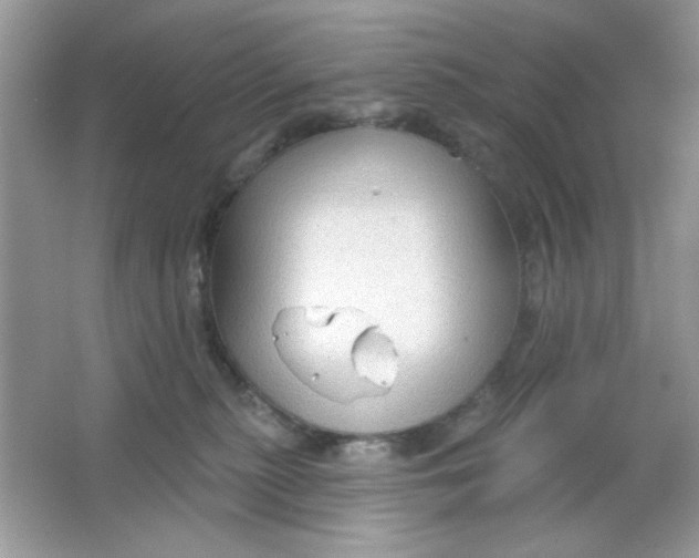 X0000065970279200603241921