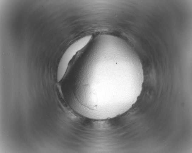 X0000065970281200603241921