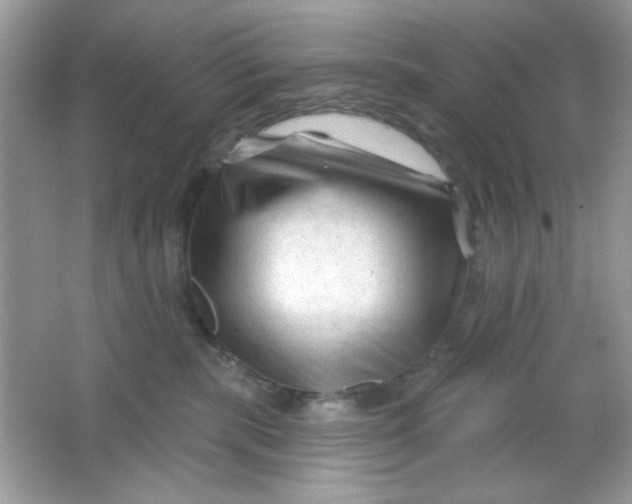 X0000065970283200603241921