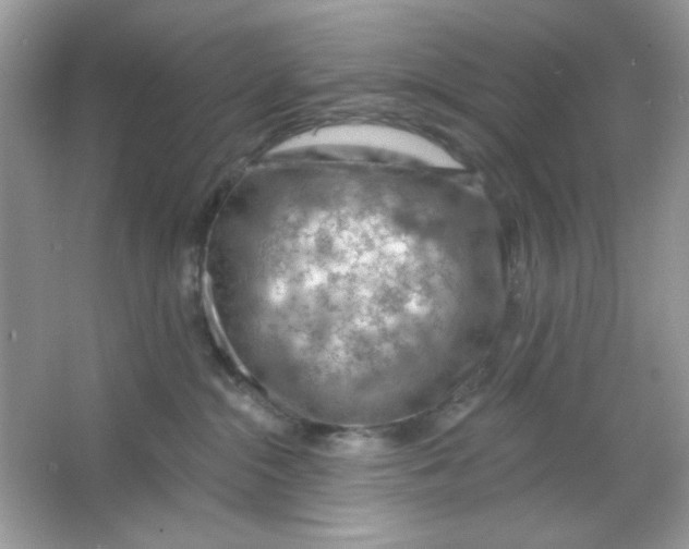 X0000065970284200603241921