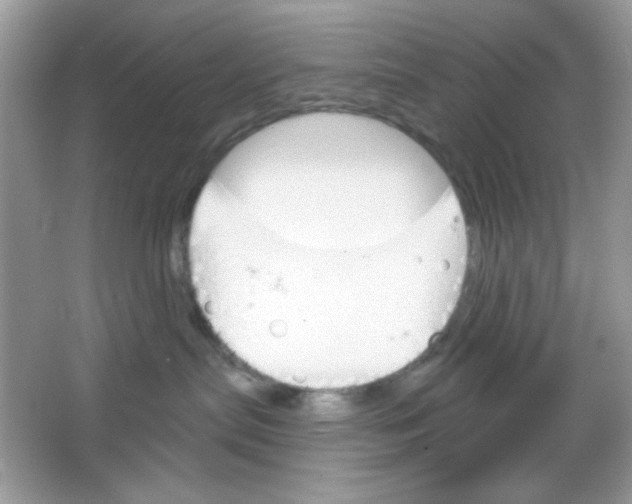 X0000065970287200603241921