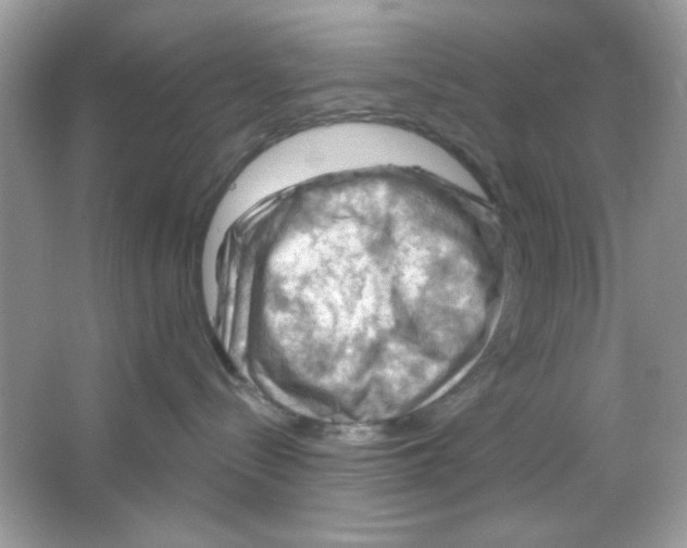 X0000065970288200603241921