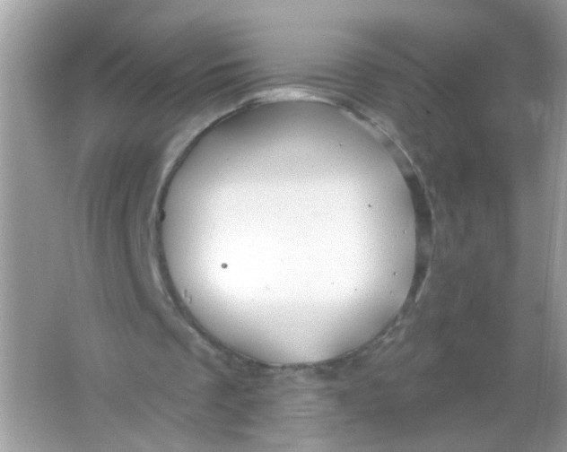 X0000065970289200603241920