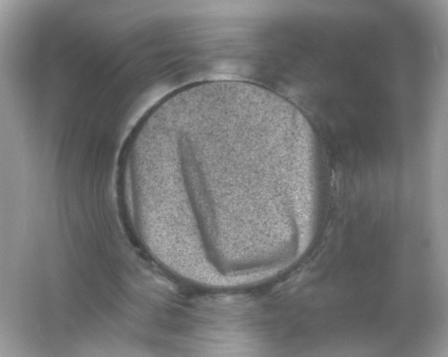 X0000065970292200603241920