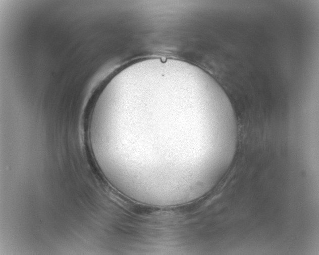 X0000065970294200603241920