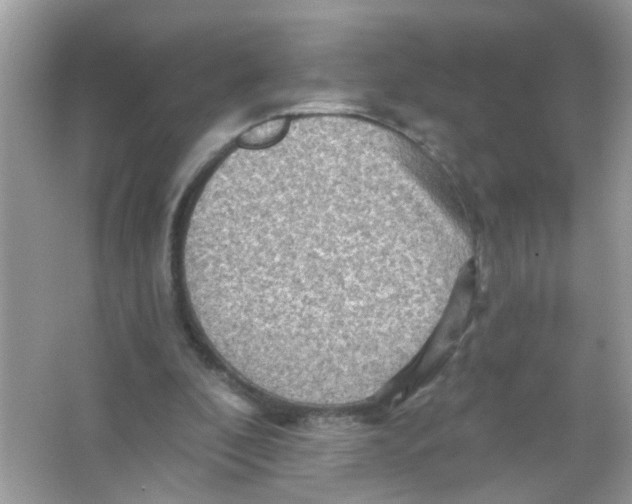 X0000065970296200603241920