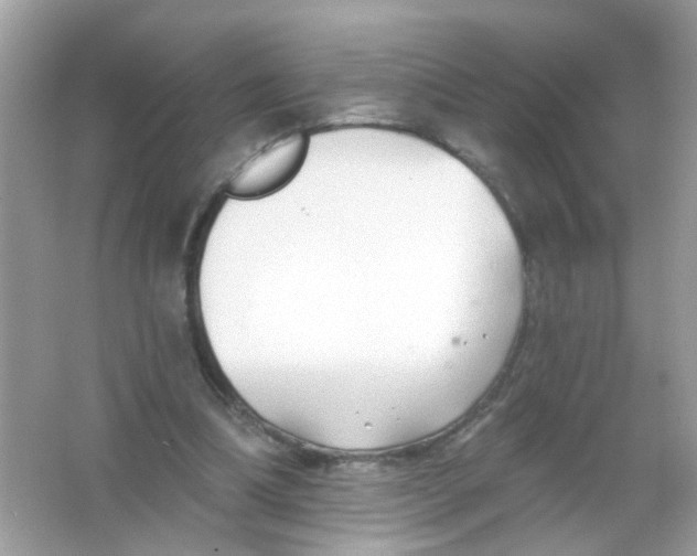 X0000065970298200603241920