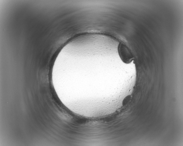 X0000065970299200603241920