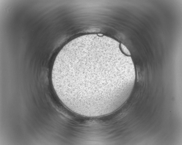 X0000065970300200603241920