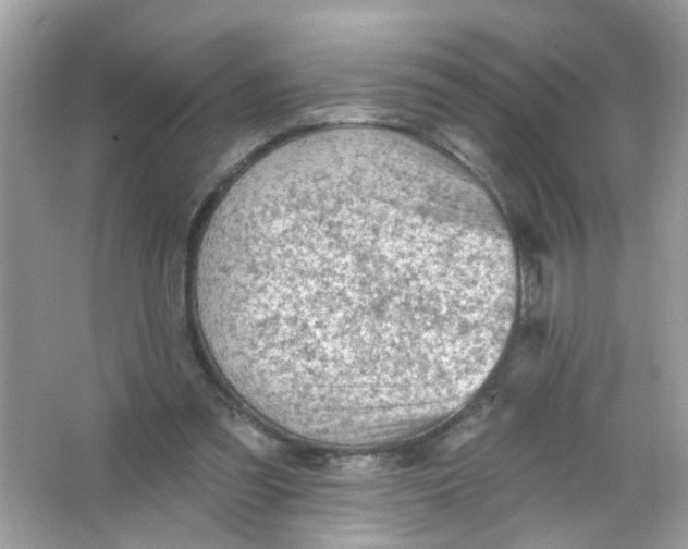 X0000065970301200603241920