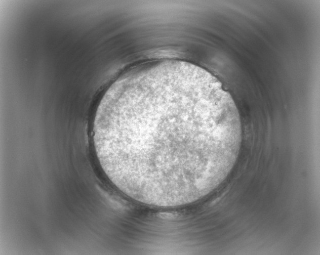 X0000065970302200603241920