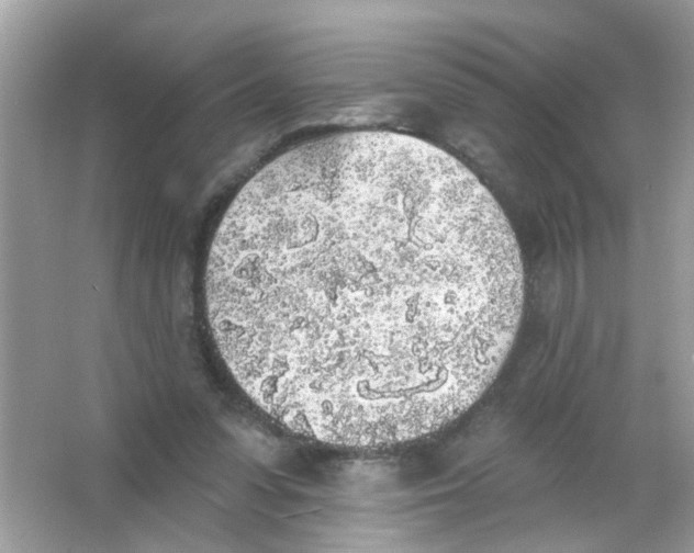 X0000065970303200603241920