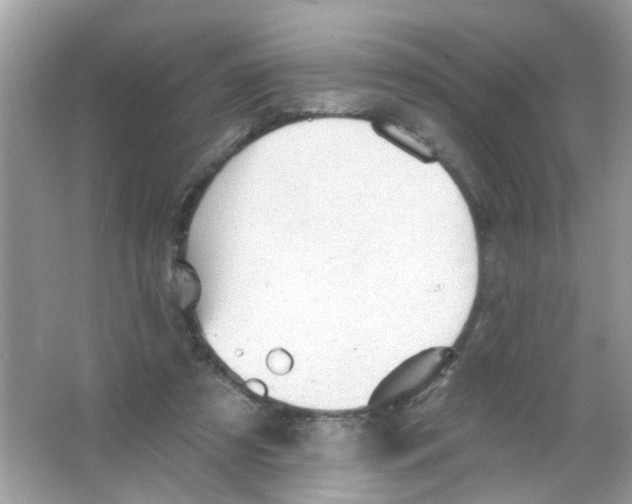 X0000065970305200603241920