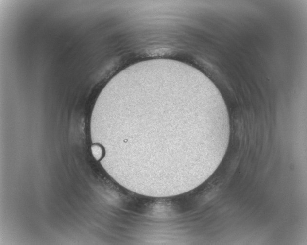 X0000065970308200603241920