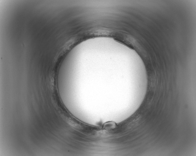 X0000065970309200603241920