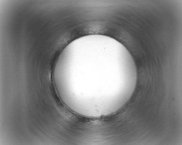 X0000065970310200603241920