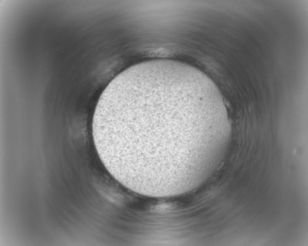 X0000065970312200603241920