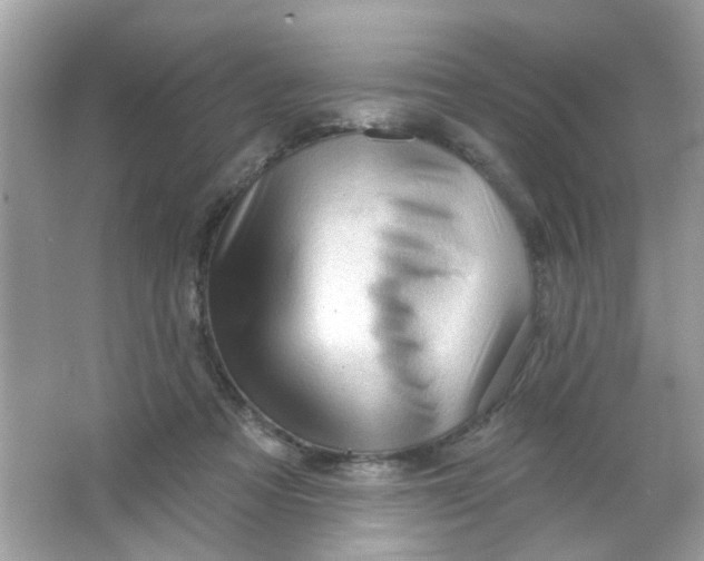 X0000065970313200603241920