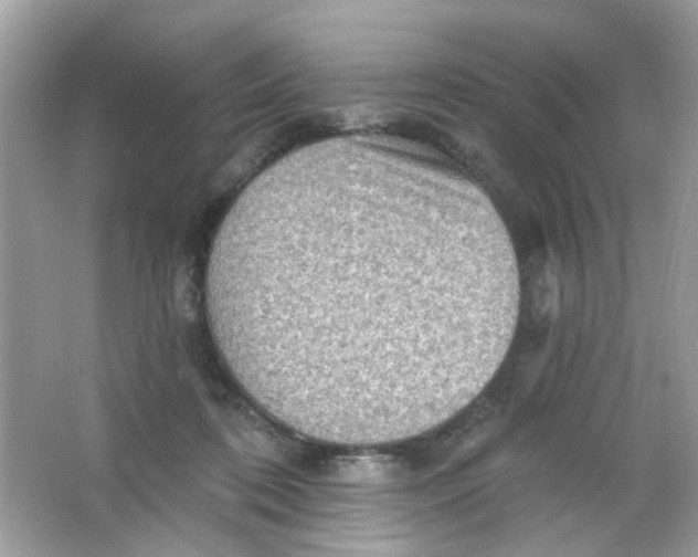 X0000065970316200603241920