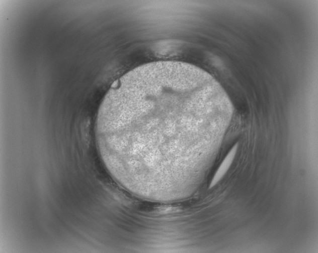 X0000065970319200603241920