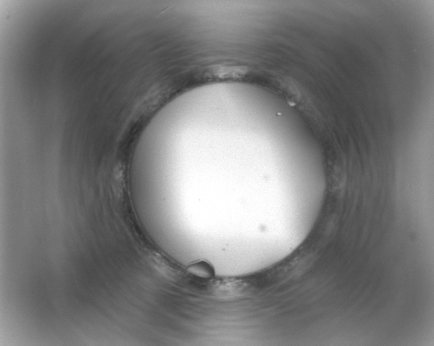 X0000065970321200603241920