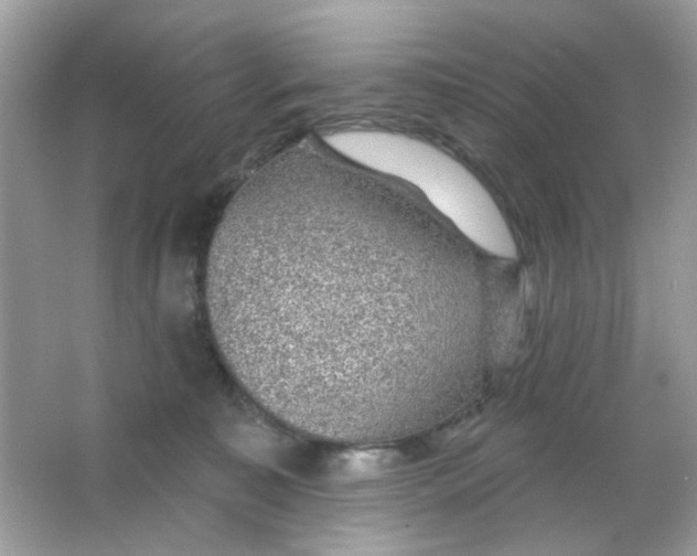 X0000065970323200603241920