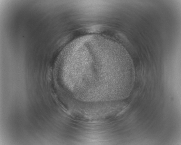 X0000065970325200603241920