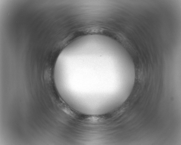 X0000065970326200603241920