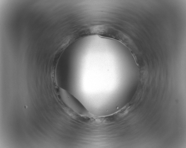 X0000065970329200603241920