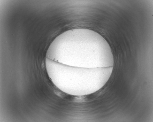 X0000065970335200603241920