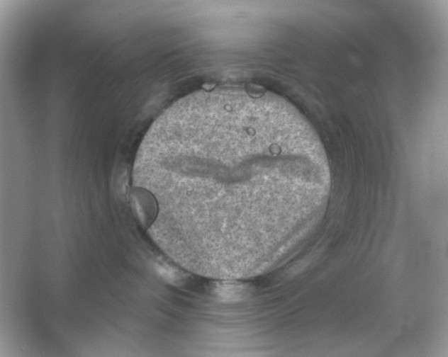 X0000065970336200603241920