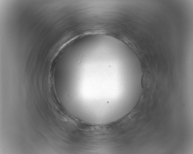 X0000065970338200603241919