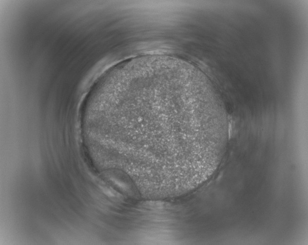 X0000065970339200603241919