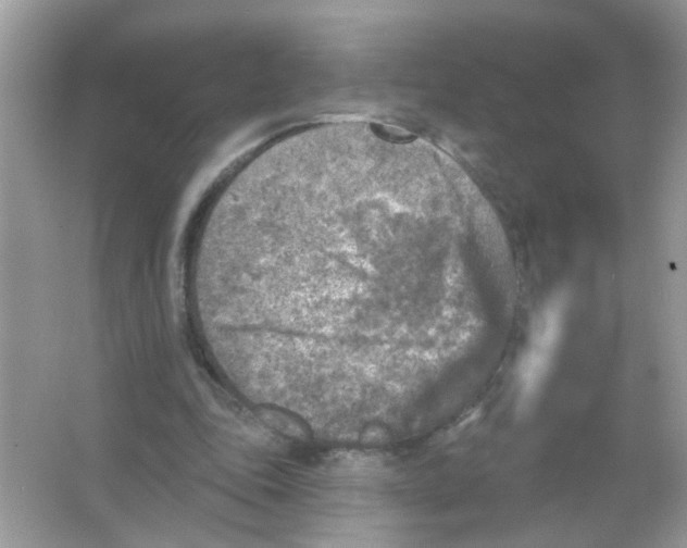 X0000065970343200603241919