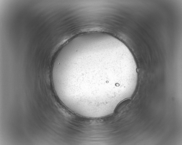 X0000065970345200603241919