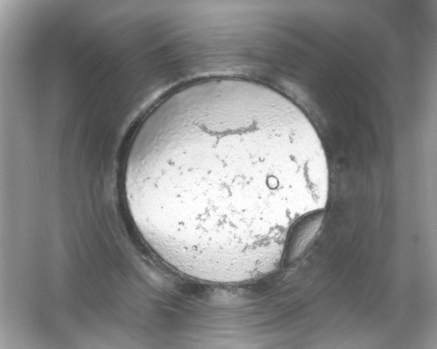 X0000065970346200603241919