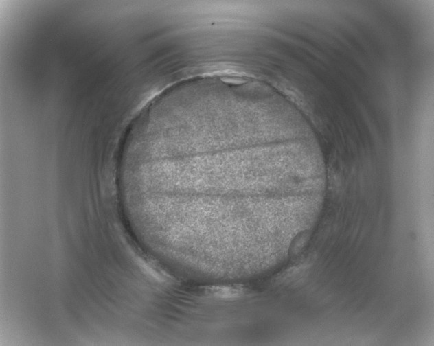 X0000065970347200603241919