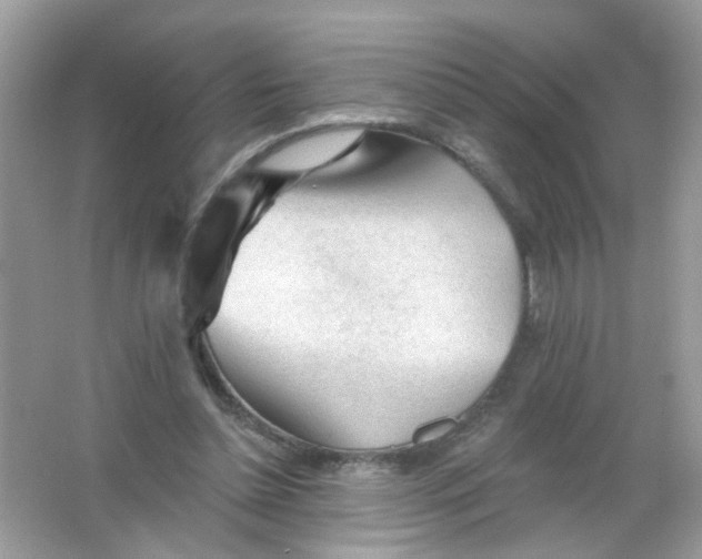 X0000065970348200603241919