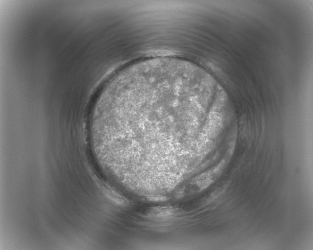 X0000065970351200603241919