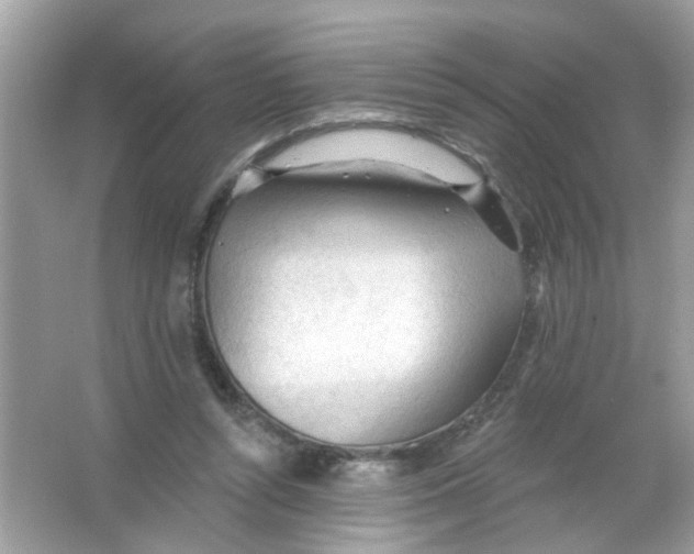 X0000065970352200603241919