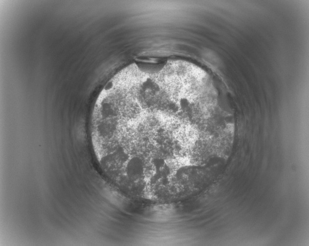 X0000065970353200603241919